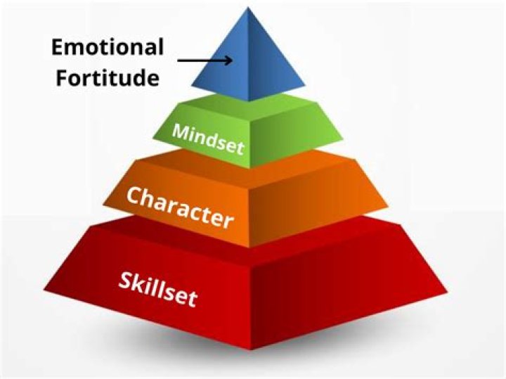 A Journey Of Elite Performance And Impact