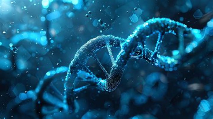 A Journey Of Genetics And Beyond