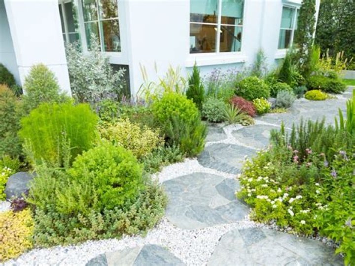 A Revelation In Sustainable Landscaping