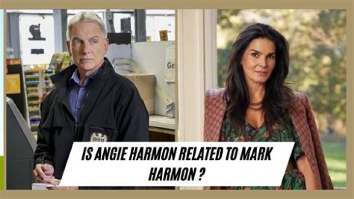 Are Angie Harmon And Mark Harmon Related?