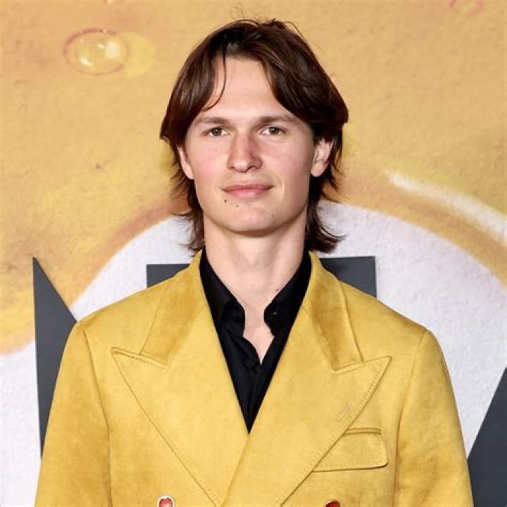 Discoveries About Ansel Elgort's Siblings
