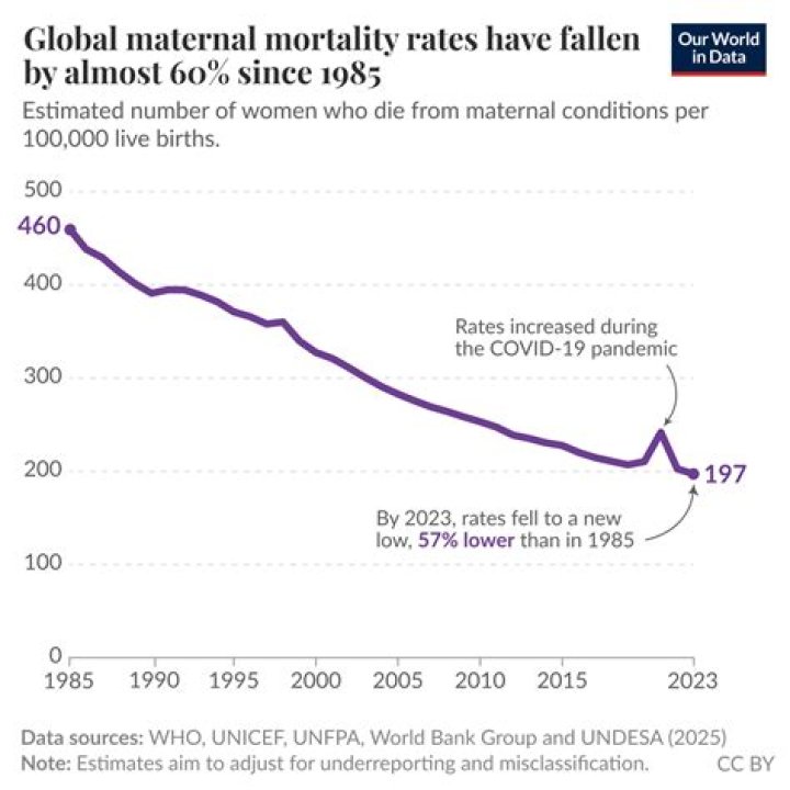 Justin Bieber's Mortality And The Dynamics Of Online Hoaxes
