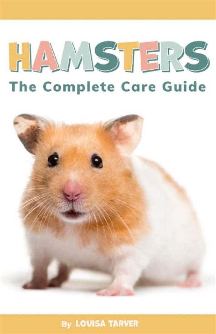 The Ultimate Guide To Hamster Care And Beyond