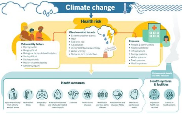 Unlock The Secrets Of Climate Change Health Risks With Lesia Winnicki's Groundbreaking Research