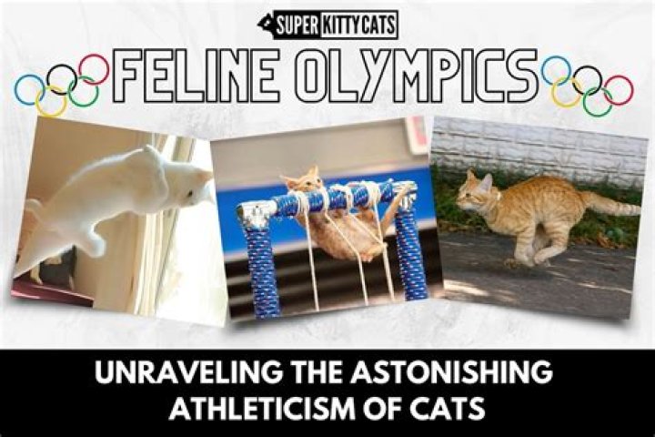 Unraveling Sibling Support And Athleticism