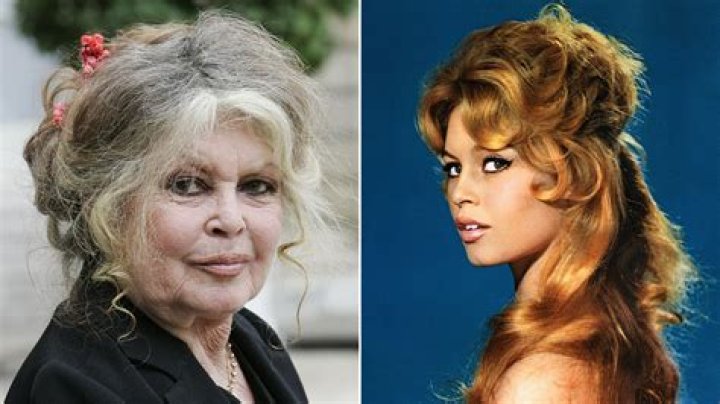 Unveil The Enchanting World Of Brigitte Bardot's Cinematic Legacy