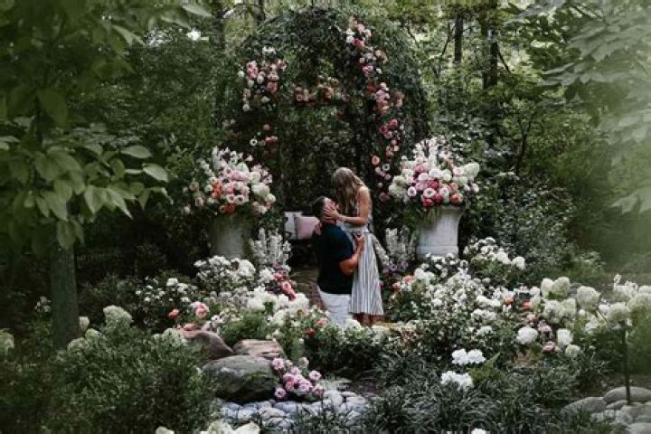 Unveiling Emily Compagno's Engagement Ring: Beauty, Value, And Symbolism