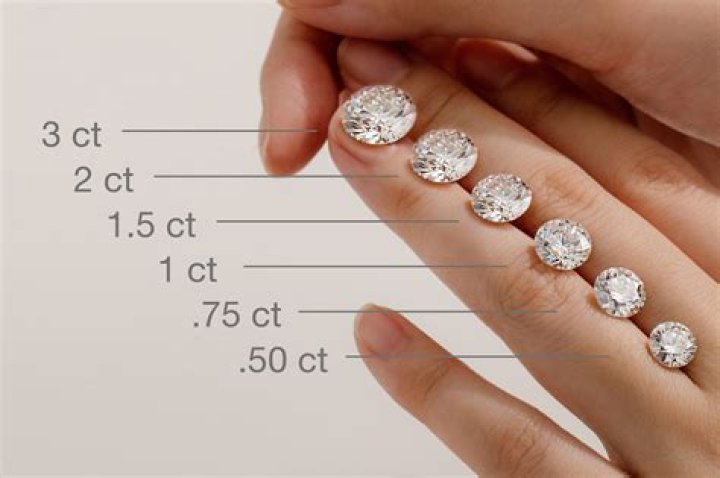 Unveiling The Allure: Emily Compagno's Earrings Explored