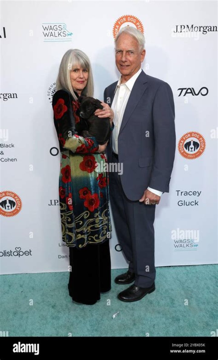 Unveiling The Enduring Love Story Of Mark Harmon And Pam Dawber: A Journey Of Decades
