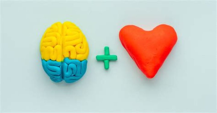 Unveiling The Heart Behind The Legal Mind
