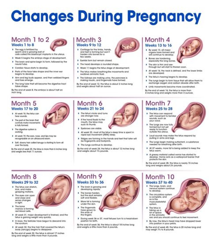 Unveiling The Mystery: Gabbie Marshall's Pregnancy Journey
