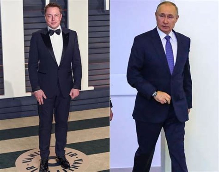 Unveiling The Secrets Of Nelson Neumann's Height And Weight: Discoveries And Insights