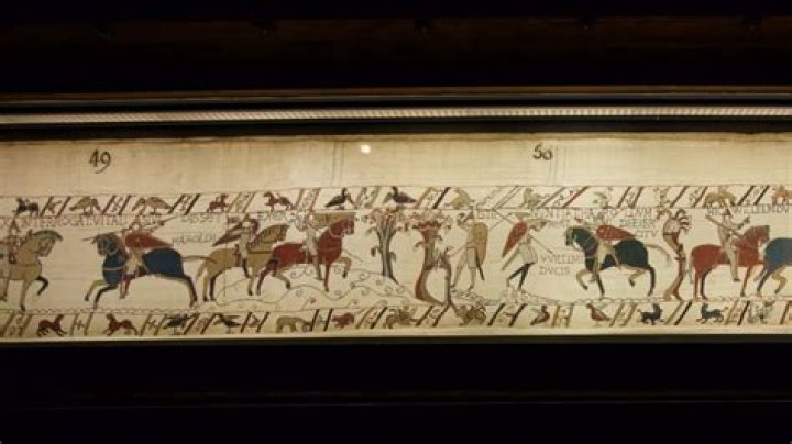 Unveiling The Tapestry Of "Erin Every": Discoveries And Insights